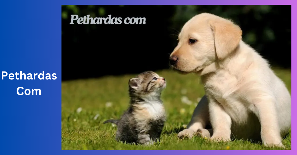 Pethardas Com _The Ultimate Pet Community for Pet Owners